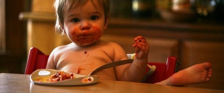 repas de bébé : petits pots ou fait maison