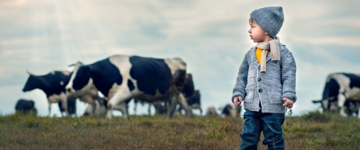 Biostime - lait infantile bio