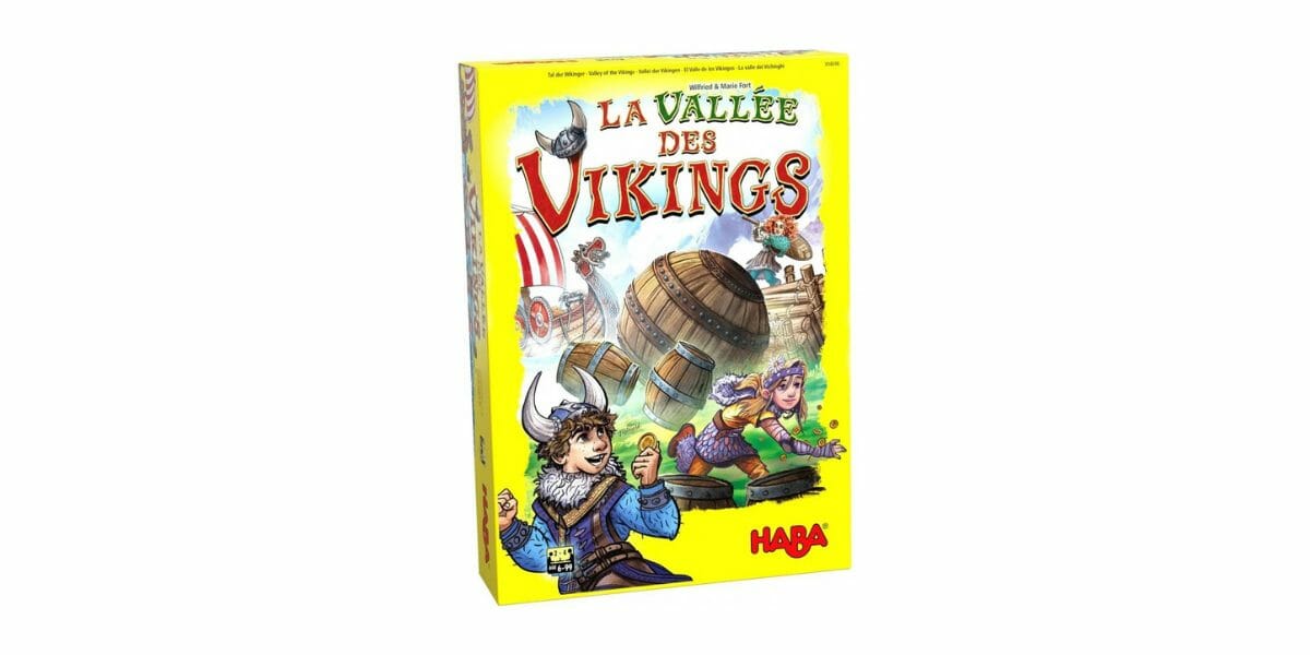 jeu-societe-la-vallee-des-vikings
